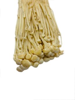 enoki