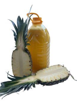 Ananasová šťáva 5 l