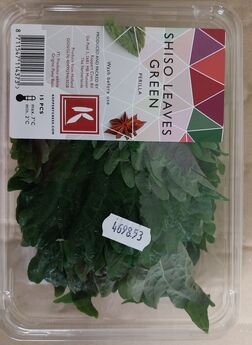 shiso listy zelené