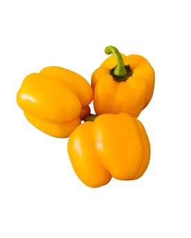 paprika žlutá (malá)