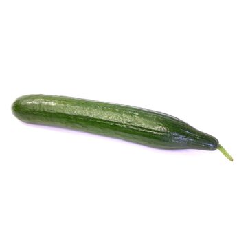 okurka salátová