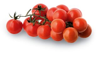 rajčata mini - trost
