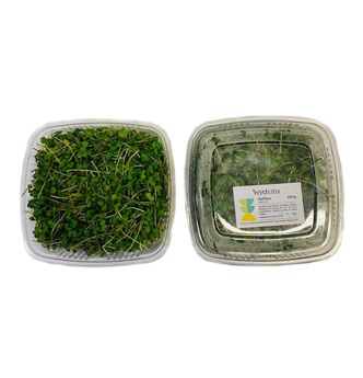 microgreens hořčice 50g