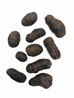 brambory mini-fialové