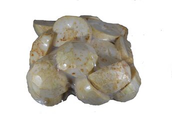 LOUPANÝ CELER - alergen!