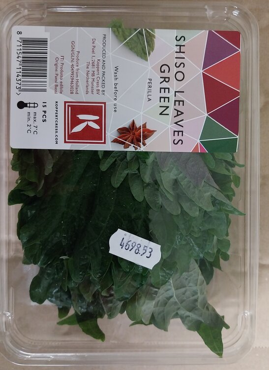 shiso listy zelené