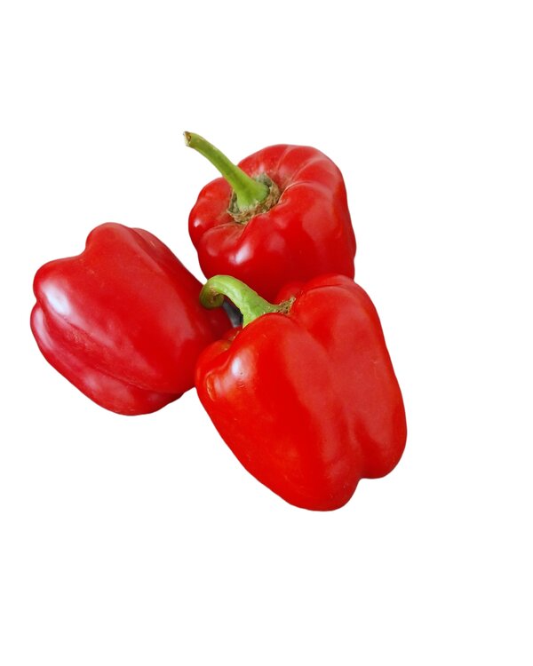 paprika červená (malá)