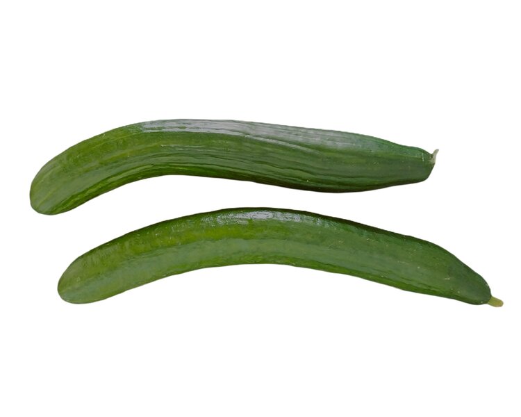 okurka salátová (křivá)