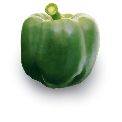 paprika zelená