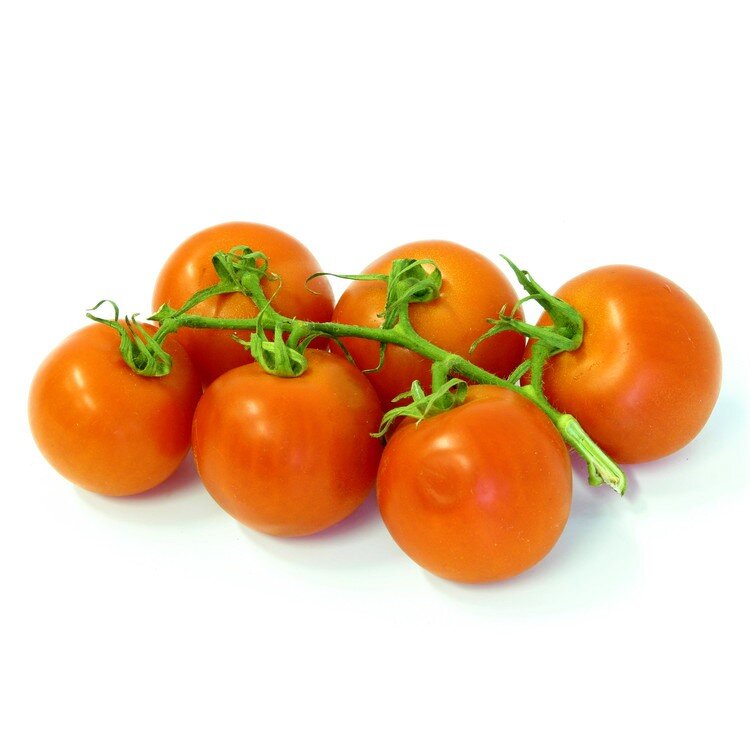 rajčata - keře